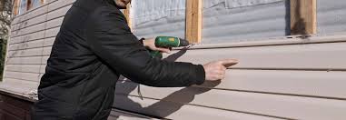 Best Siding Painting and Refinishing  in Treasure Island, FL